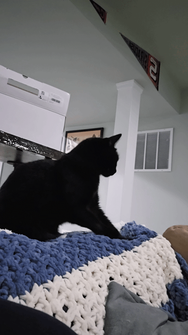 Xena loves the blanket Cassie made so much that we brought it just for her! Xena kneading a blanket